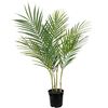 Goudpalm