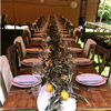 Crossback chairs