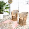 Rotan stoeltje botanisch