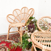 Rotan flower chairs - set van 2