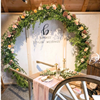 Backdrop rond zwart - zonder doek