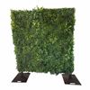 Green Wall