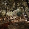 Boho forest ceremony - complete set