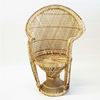 Peacock chair - nummer 3 Peacock chair - nummer 3