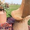 rotan stoel naturel bij Brisked huren rotan stoel naturel bij Brisked huren