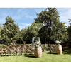 Crossback chairs