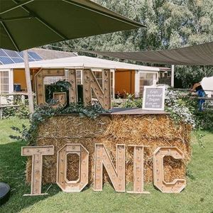 Lichtletters GIN TONIC - klein