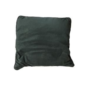 Kussen velvet groen huren