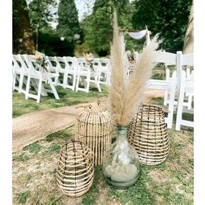 pampas pluimen huren bij Brisked