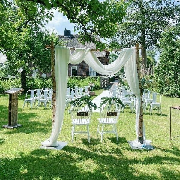 Berken backdrop hout huren