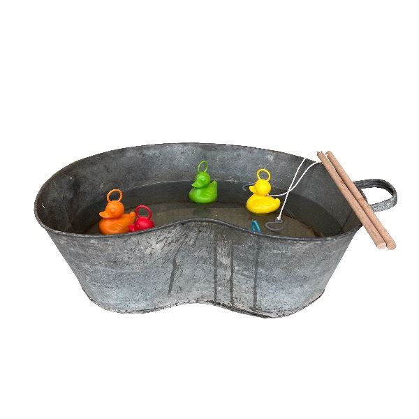 Eendjes vangen 