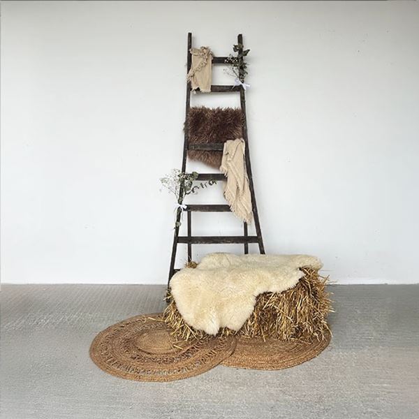 ladder rustiek middel huren ladder rustiek middel huren