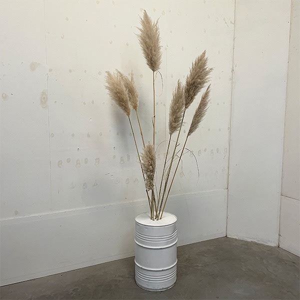 Ton met pampas pluimen